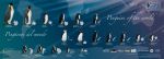 Penguins of the World
